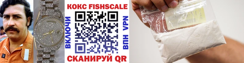 Cocaine Fish Scale  цена наркотик  mega онион  Железногорск 