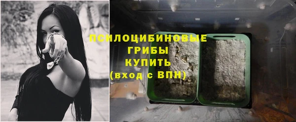 MDMA Михайловск