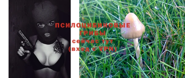 синтетический гашиш Михайловка
