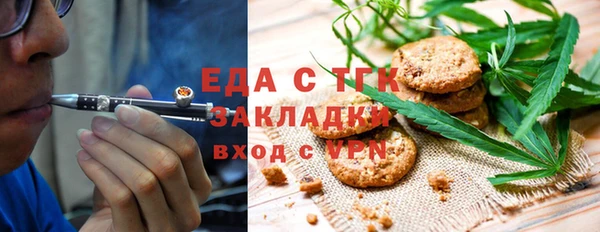 дживик Сясьстрой