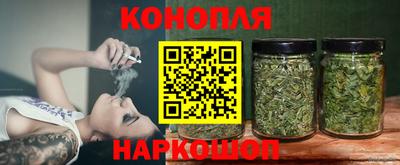 мяу мяу мука Гай