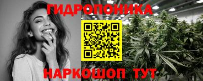 мяу мяу мука Гай