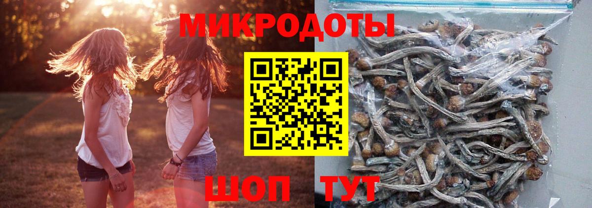 Псилоцибиновые грибы Cubensis  Вход с VPN  Железногорск 